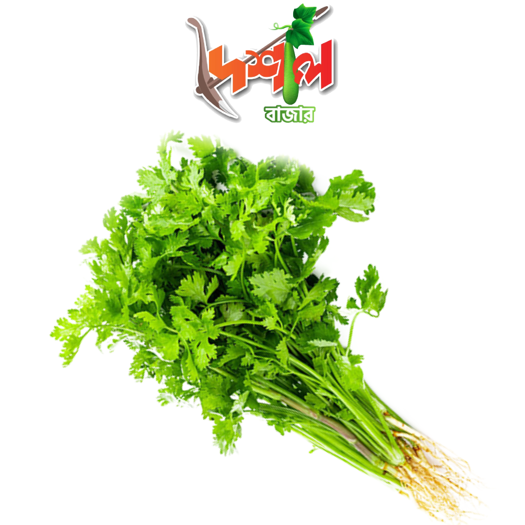 Coriander Leaves (Dhonia Pata) ধনিয়া পাতা 200গ্রাম