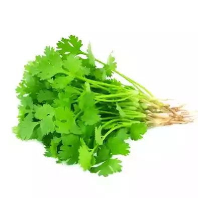 Coriander Leaves (Dhonia Pata) ধনিয়া পাতা ১০০গ্রাম