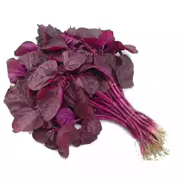 Lal Shak (Red Spinach) লাল শাক ১ বান্ডিল